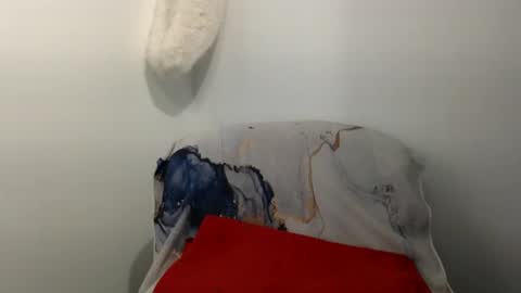 Snapshot of hairytonkas chatting on January 8, 2:57 am HairyTonkas online show from January 8, 2:57 am