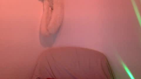 Snapshot of hairytonkas chatting on January 15, 2:27 am HairyTonkas online show from January 15, 2:27 am