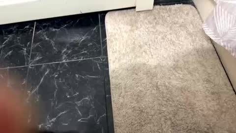 halebb online show from October 20, 1:06 am