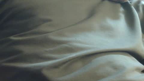 Snapshot of hamhead71 chatting on December 1, 11:58 pm hamhead71 online show from December 1, 11:58 pm