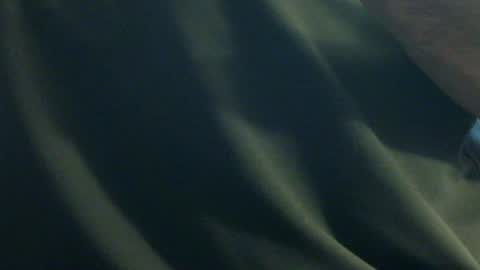 Snapshot of hamhead71 chatting on December 27, 6:20 pm hamhead71 online show from December 27, 6:20 pm