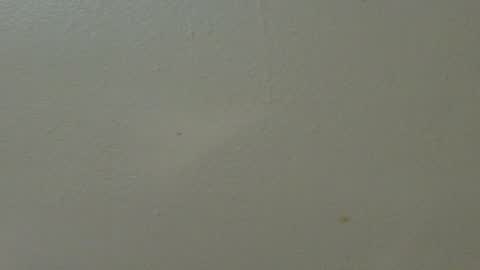 Snapshot of hamhead71 chatting on February 7, 1:36 am hamhead71 online show from February 7, 1:36 am