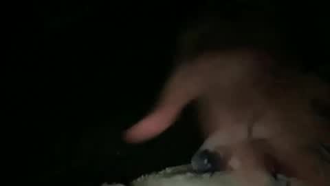 Snapshot of hammer1960 chatting on March 23, 3:32 am relax online show from March 23, 3:32 am