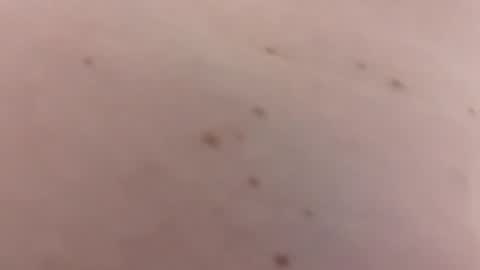 handsomerob42 online show from January 18, 6:23 pm