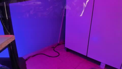 hannyk_ online show from February 12, 11:38 am