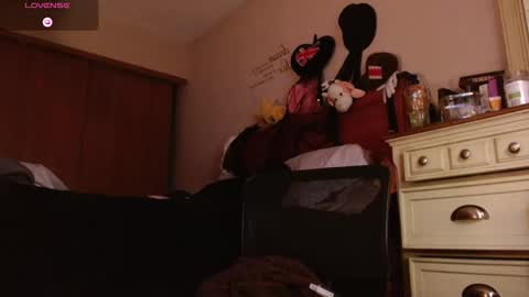 meatwad online show from December 23, 3:48 am