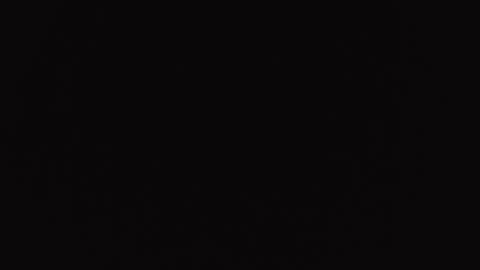 Snapshot of hardceltic4 chatting on December 2, 7:14 am hardceltic4 online show from December 2, 7:14 am