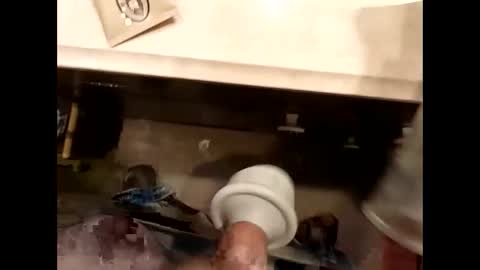 hardforu8675 online show from April 13, 2:00 pm