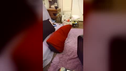 Snapshot of harleyszaddy chatting on June 15, 7:54 am harleyszaddy online show from June 15, 7:54 am