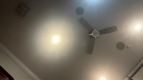 Snapshot of harleywestxox chatting on May 20, 8:42 am Harleywest 638 online show from May 20, 8:42 am