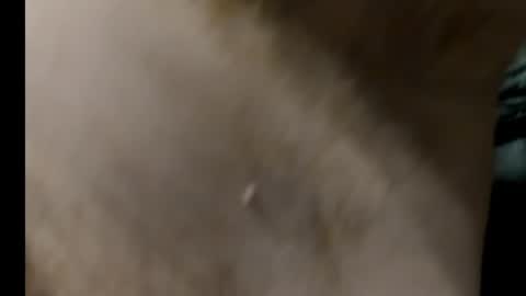 Snapshot of harry_banana chatting on January 27, 8:29 am harry_banana online show from January 27, 8:29 am