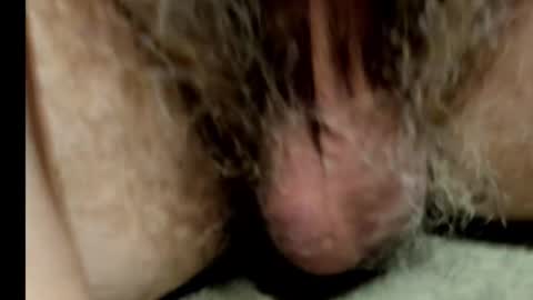 Snapshot of harry_banana chatting on February 1, 8:50 am harry_banana online show from February 1, 8:50 am