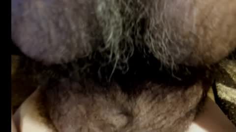 Snapshot of harry_banana chatting on March 8, 8:55 am harry_banana online show from March 8, 8:55 am