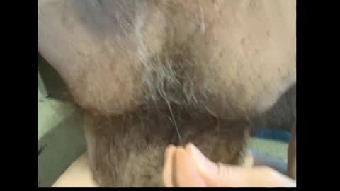 harry_banana online show from February 27, 1:44 pm