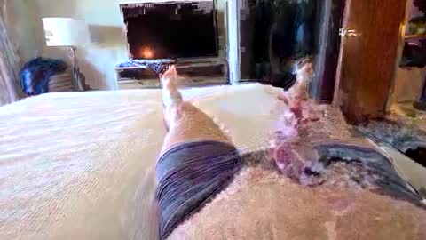 havebeardwilltravel3250 online show from January 15, 7:28 pm