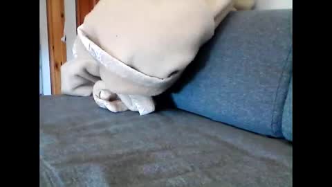 Snapshot of havier282874 chatting on May 22, 8:53 am havier282874 online show from May 22, 8:53 am
