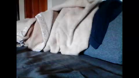 Snapshot of havier282874 chatting on June 9, 4:57 am havier282874 online show from June 9, 4:57 am