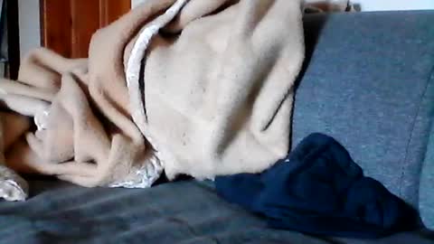 Snapshot of havier282874 chatting on June 17, 8:06 am havier282874 online show from June 17, 8:06 am