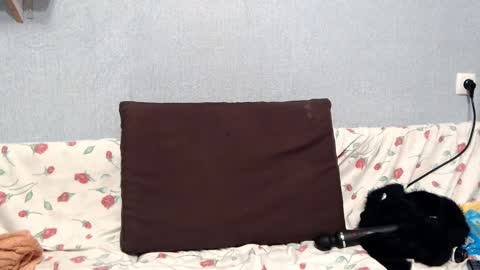 HelenRed online show from January 18, 4:10 pm