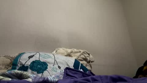 Snapshot of hellokitten123 chatting on January 28, 9:40 pm hellokitten123 online show from January 28, 9:40 pm