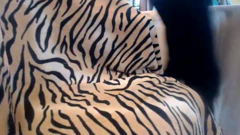 Snapshot of helvella chatting on February 13, 10:44 am Helvell online show from February 13, 10:44 am