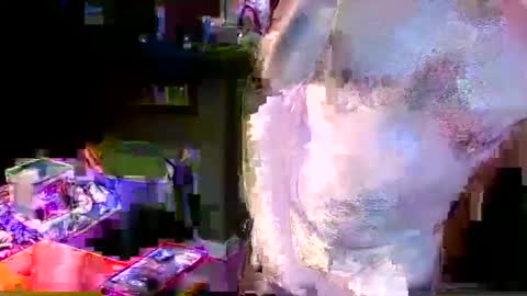 herb60657 online show from November 4, 1:54 pm