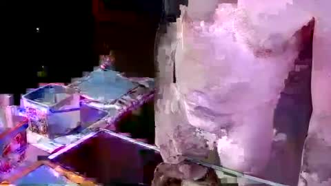 herb60657 online show from November 21, 1:32 pm