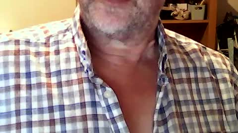 hereford66 online show from July 4, 8:20 am