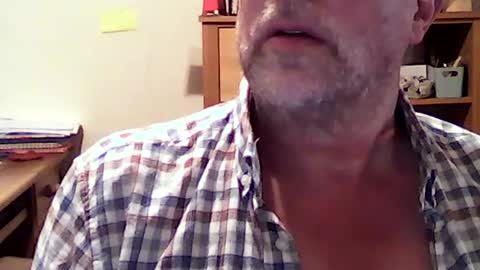 hereford66 online show from July 16, 10:32 am