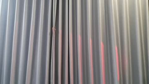 Aran online show from December 3, 8:00 am