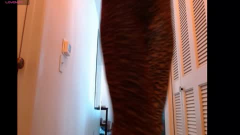 hevin69 online show from February 15, 7:10 pm