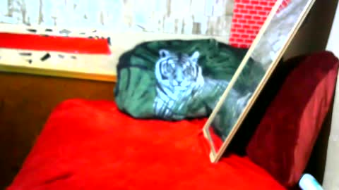 Snapshot of hhhjnf1 chatting on September 17, 7:10 am hhhjnf1 online show from September 17, 7:10 am