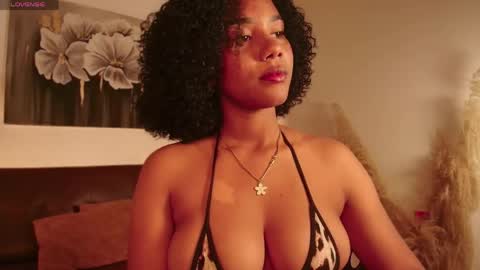 Snapshot of hilaryebony_ chatting on April 18, 7:58 pm - 29p online show from April 18, 7:58 pm