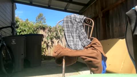 Hippie Jijm online show from April 17, 7:39 pm