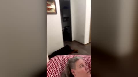 hippysnewhere online show from April 23, 4:14 am