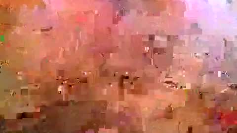 midwestchamp online show from April 25, 10:51 am