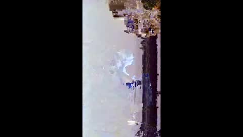 hoglegg99384194 online show from January 15, 11:48 am