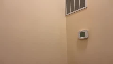 honey_man14 online show from February 26, 5:56 pm