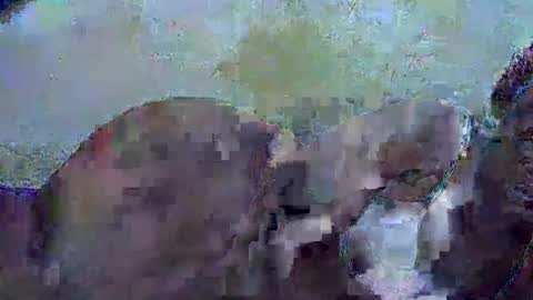 Snapshot of honey_sunshiny chatting on February 3, 6:51 am honey_sunshiny online show from February 3, 6:51 am