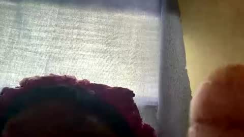honeybaby44446 online show from July 11, 9:05 pm