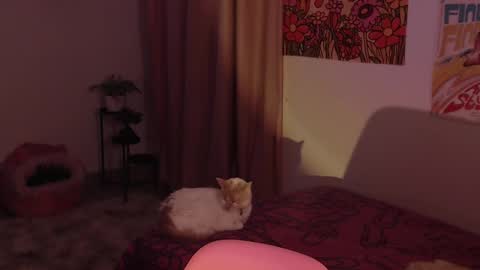 Snapshot of honeyypeaach chatting on December 18, 11:30 pm    online show from December 18, 11:30 pm