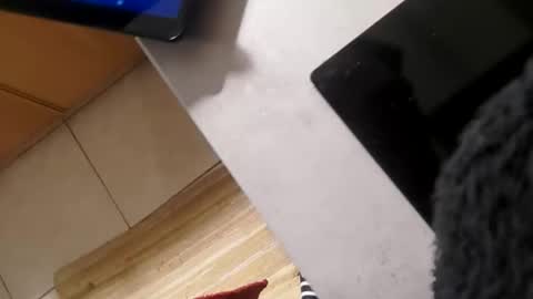 Jan online show from October 26, 4:46 pm