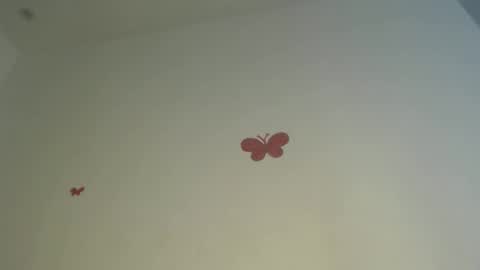 Iris online show from April 3, 7:34 pm