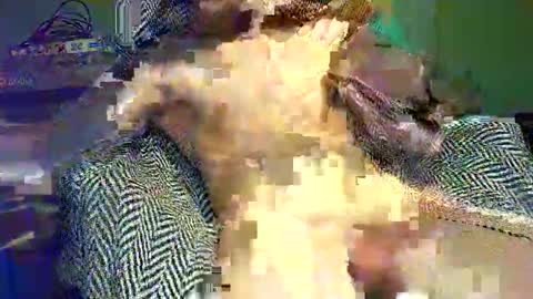 Snapshot of hornycocxxx chatting on March 9, 1:14 am hornycocxxx online show from March 9, 1:14 am