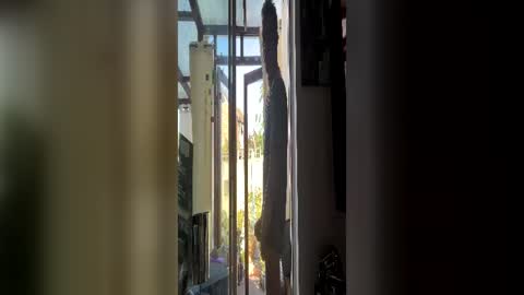 Snapshot of hornylondo chatting on July 6, 4:42 pm Hornylondon online show from July 6, 4:42 pm