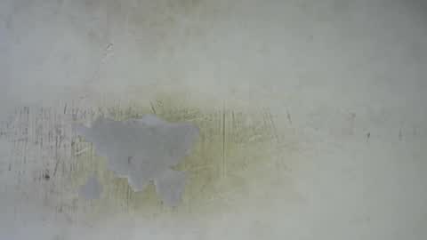 Bella online show from February 25, 11:58 pm