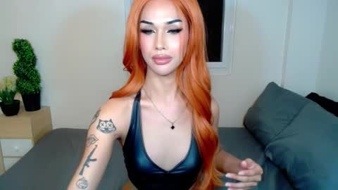 Snapshot of horsecockmadison chatting on December 4, 2:43 am Madison online show from December 4, 2:43 am