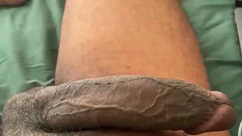 Bbc horsey online show from January 12, 7:19 pm