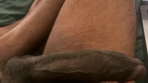 Bbc horsey online show from February 3, 12:31 am