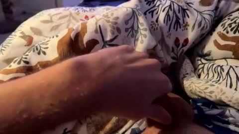 hot_for_you_ online show from November 23, 1:49 am